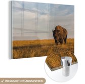 Peinture sur Verre - Bison devant un lac au Canada - 120x80 cm - Peintures sur Verre Peintures - Photo sur Glas
