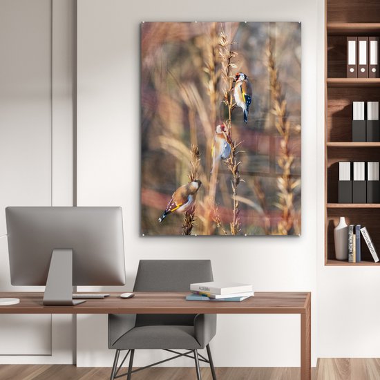 Peinture sur Verre - Vogels - Branches - Forêt - 90x120 cm - Peintures sur Verre Peintures - Photo sur Glas