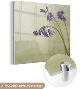 MuchoWow® Glasschilderij 20x20 cm - Schilderij glas - Piekfijne sterhyacinten op een lichtgroene achtergrond - Foto op acrylglas - Schilderijen