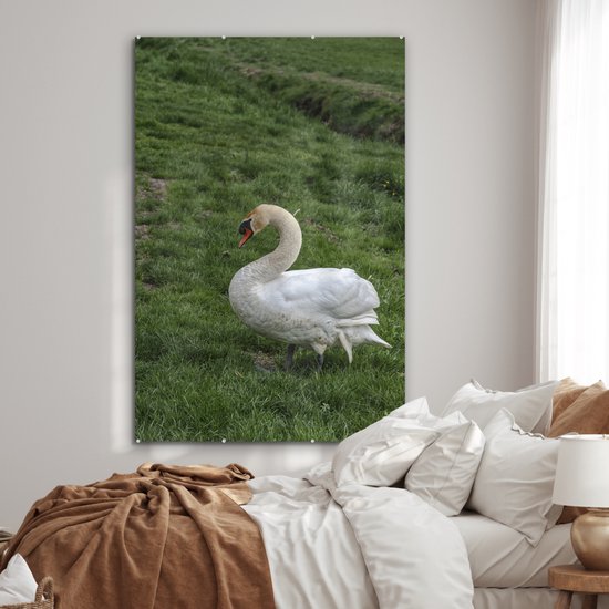 ® Glasschilderij 120x180 cm - Schilderij acrylglas - Zwaan - Gras - Natuur - Foto op glas - Muurdecoratie woonkamer - Wanddecoratie slaapkamer - Schilderijen