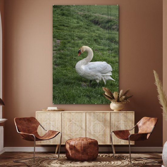 ® Glasschilderij 120x180 cm - Schilderij acrylglas - Zwaan - Gras - Natuur - Foto op glas - Muurdecoratie woonkamer - Wanddecoratie slaapkamer - Schilderijen