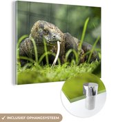 MuchoWow® Peinture sur verre - Dragon de Komodo se promenant - 160x120 cm - Peintures sur verre acrylique - Photo sur Glas