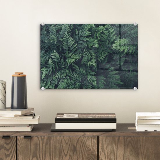 MuchoWow® Peinture sur verre 30x20 cm - Peinture sur verre acrylique - Vue de fougères vertes - Photo sur verre - Peintures