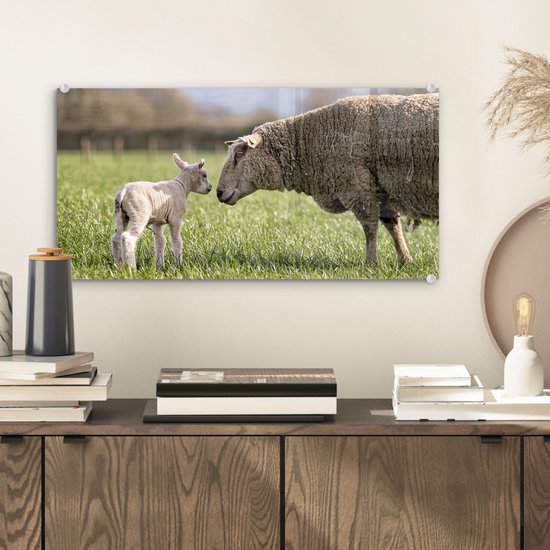 Peinture sur Verre - Moutons - Herbe - Printemps - 40x20 cm - Peintures sur Verre Peintures - Photo sur Glas
