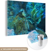 MuchoWow® Peinture sur verre 90x60 cm - Peinture sur verre acrylique - Hippocampe dans la mer - Photo sur verre - Peintures