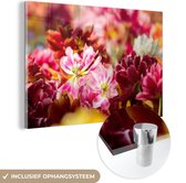 MuchoWow® Glasschilderij 180x120 cm - Schilderij acrylglas - Mutli gekleurde tulpen - Foto op glas - Schilderijen