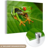 MuchoWow® Peinture sur verre 180x120 cm - Peinture sur verre acrylique - Grenouille - Feuille - Reptile - Photo sur verre - Peintures