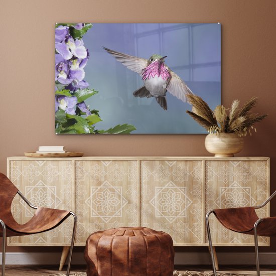 Un colibri calliope avec des fleurs violettes Plexiglas 90x60 cm - Tirage photo sur Glas (décoration murale plexiglas)