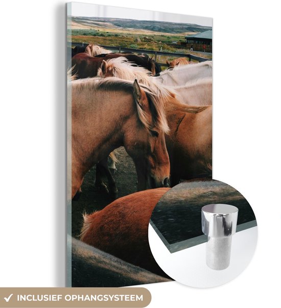 MuchoWow® Glasschilderij 60x90 cm - Schilderij acrylglas - Paarden - Dieren - Wild - Foto op glas - Schilderijen