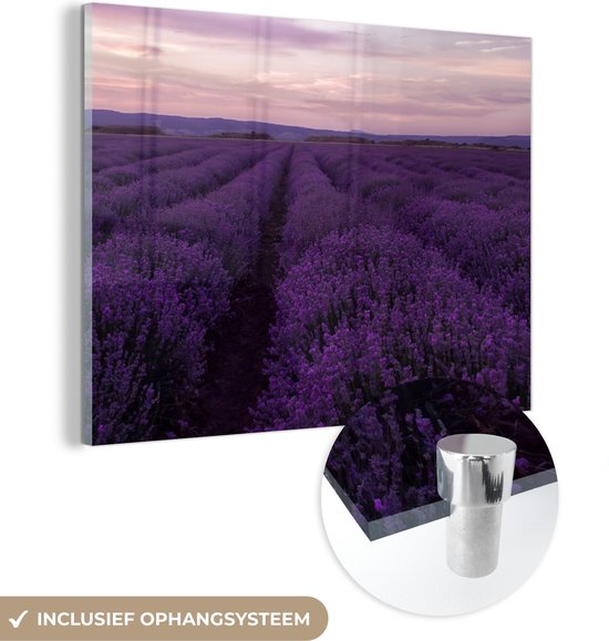 MuchoWow® Glasschilderij 160x120 cm - Schilderij acrylglas - Lavendel - Paars - Bloemen - Natuur - Foto op glas - Schilderijen