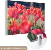 MuchoWow® Glasschilderij 150x100 cm - Schilderij acrylglas - Tulpen - Bloemen - Natuur - Foto op glas - Schilderijen