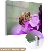 MuchoWow® Glasschilderij 40x30 cm - Schilderij acrylglas - Bij - Nectar - Bloem - Foto op glas - Schilderijen