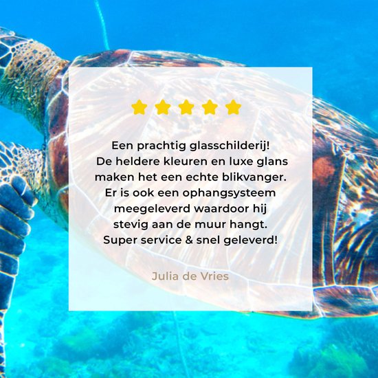 MuchoWow® Peinture sur Verre - Tortue - Mer - Blauw - 180x120 cm - Peintures sur Verre Acrylique - Photo sur Glas