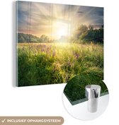 MuchoWow® Glasschilderij 80x60 cm - Schilderij acrylglas - Bloemen - Zon - Lente - Foto op glas - Schilderijen