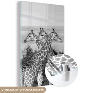 MuchoWow® Glasschilderij 40x60 cm - Schilderij acrylglas - Giraffen in Oeganda - zwart wit - Foto op glas - Schilderijen
