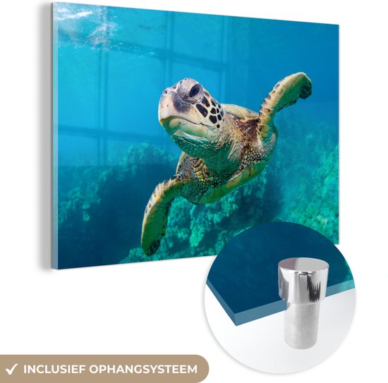 MuchoWow® Glasschilderij 60x40 cm - Schilderij acrylglas - Zeeschildpad zwemmend in Hawai - Foto op glas - Schilderijen