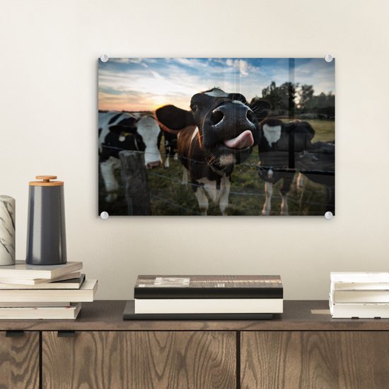 MuchoWow® Peinture sur verre 30x20 cm - Peinture sur verre acrylique - Vache - Animal - Gros plan - Photo sur verre - Peintures