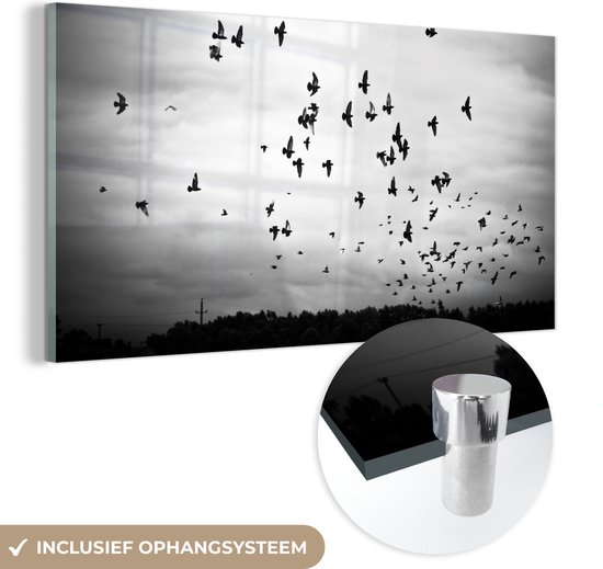 Glasschilderij - Foto op glas - Acrylglas - Vogel - Wolken - Zwart - Wit - Woonkamer - Muurdecoratie - 120x60 cm - Wanddecoratie dieren - Woondecoratie