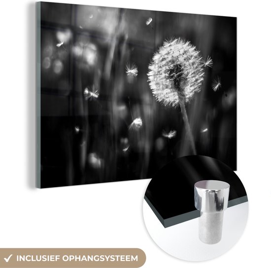 MuchoWow® Peinture sur verre 90x60 cm - Peinture sur verre - Pissenlit - Zwart - Wit - Plante - Photo sur verre acrylique - Peintures
