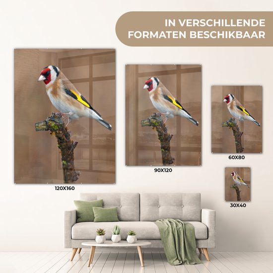 Peinture sur verre - Gros plan d'un chardonneret coloré sur une branche fine - 30x40 cm - Peintures sur Verre Peintures - Photo sur Glas