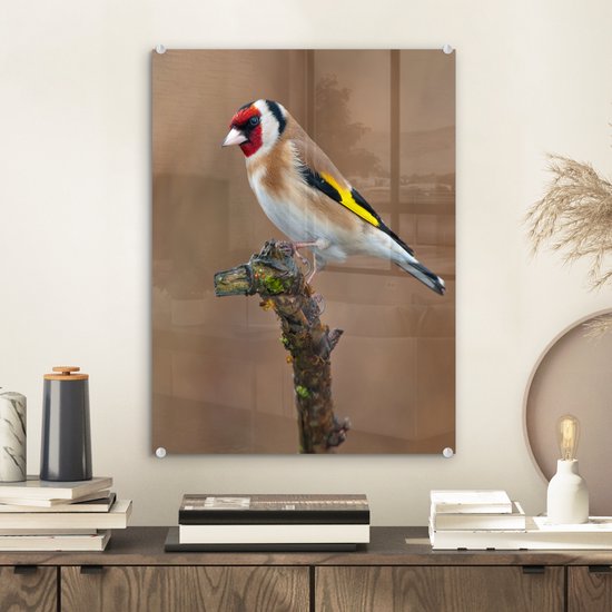 Peinture sur verre - Gros plan d'un chardonneret coloré sur une branche fine - 30x40 cm - Peintures sur Verre Peintures - Photo sur Glas