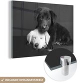 MuchoWow - Glasschilderij - Foto op glas - Muurdecoratie - Acrylglas - Dieren - Honden - Puppy - Zwart - Wit - Woonkamer - 180x120 cm - Wanddecoratie dieren - Woondecoratie - Schilderij glas