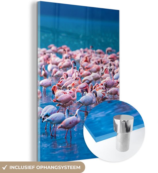 MuchoWow - Glasschilderij - Foto op glas - Acrylglas - Dieren - Flamingo - Zwart - Wit - Grijs - Wanddecoratie - 80x120 cm - Glasschilderij dieren - Schilderij glas - Decoratie woonkamer