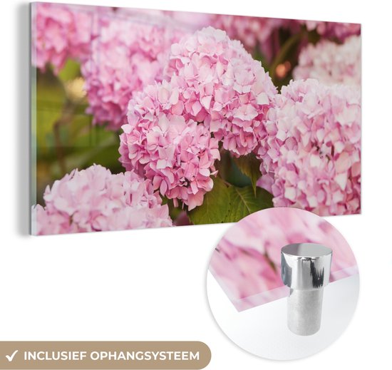 MuchoWow - Peinture sur verre - Hortensia - Fleurs - Feuilles - Plante - Rose - Photo sur verre - Verre acrylique - Décoration murale - 80x40 cm - Peinture sur verre fleurs - Peinture sur verre - Décoration murale