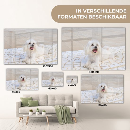 ® Glasschilderij 30x20 cm - Schilderij acrylglas - Een Maltezer hond ligt op een pad - Foto op glas - Muurdecoratie woonkamer - Wanddecoratie slaapkamer - Schilderijen