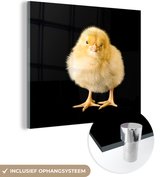 MuchoWow® Glasschilderij 50x50 cm - Schilderij acrylglas - Schattig kuikentje op een zwarte achtergrond - Foto op glas - Schilderijen