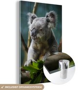 MuchoWow® Glasschilderij 40x60 cm - Schilderij acrylglas - Koala - Eucalyptus - Bladeren - Foto op glas - Schilderijen