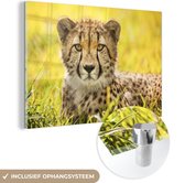 MuchoWow® Glasschilderij 90x60 cm - Schilderij acrylglas - Luipaard - Gras - Cheeta - Foto op glas - Schilderijen