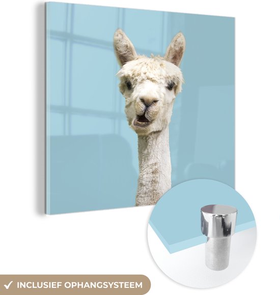 MuchoWow® Peinture sur verre 20x20 cm - Peinture sur verre acrylique - Alpaga - Wit - Blauw - Photo sur verre - Peintures