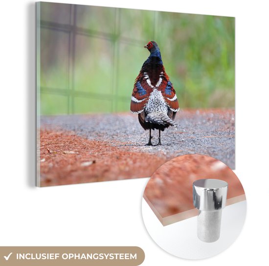MuchoWow® Peinture sur verre 60x40 cm - Peinture sur verre acrylique - Vogel - Faisan - Ressorts - Photo sur verre - Peintures