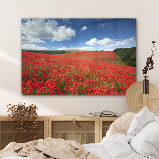 MuchoWow® Peinture sur verre 90x60 cm - Peinture sur verre acrylique - Coquelicots - Fleurs - Ciel - Photo sur verre - Peintures