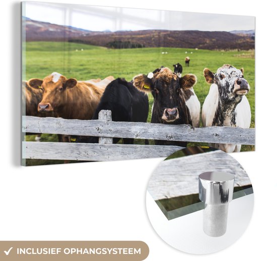 MuchoWow® Glasschilderij 40x20 cm - Schilderij acrylglas - Dieren - Koe - Hek - Foto op glas - Schilderijen
