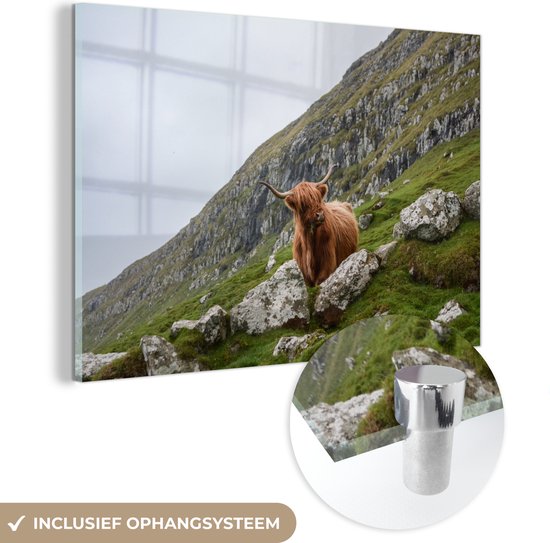 MuchoWow® Glasschilderij 90x60 cm - Schilderij acrylglas - Dieren - Schotse hooglander - Schotland - Foto op glas - Schilderijen