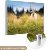 MuchoWow® Glasschilderij 120x80 cm - Schilderij acrylglas - Lammetje tussen het hoge gras - Foto op glas - Schilderijen