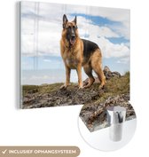 MuchoWow® Glasschilderij 160x120 cm - Schilderij acrylglas - Duitse herdershond op een berg - Foto op glas - Schilderijen