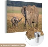 MuchoWow® Glasschilderij 60x40 cm - Schilderij acrylglas - Olifant - Dieren - Gras - Foto op glas - Schilderijen