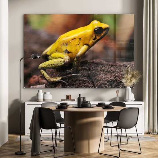 MuchoWow® Peinture sur verre 180x120 cm - Peinture sur verre acrylique - Grenouille - Jaune - Forêt - Photo sur verre - Peintures
