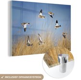 MuchoWow® Glasschilderij 150x100 cm - Schilderij acrylglas - Meerdere bonte strandlopers met een lichtblauwe hemel - Foto op glas - Schilderijen