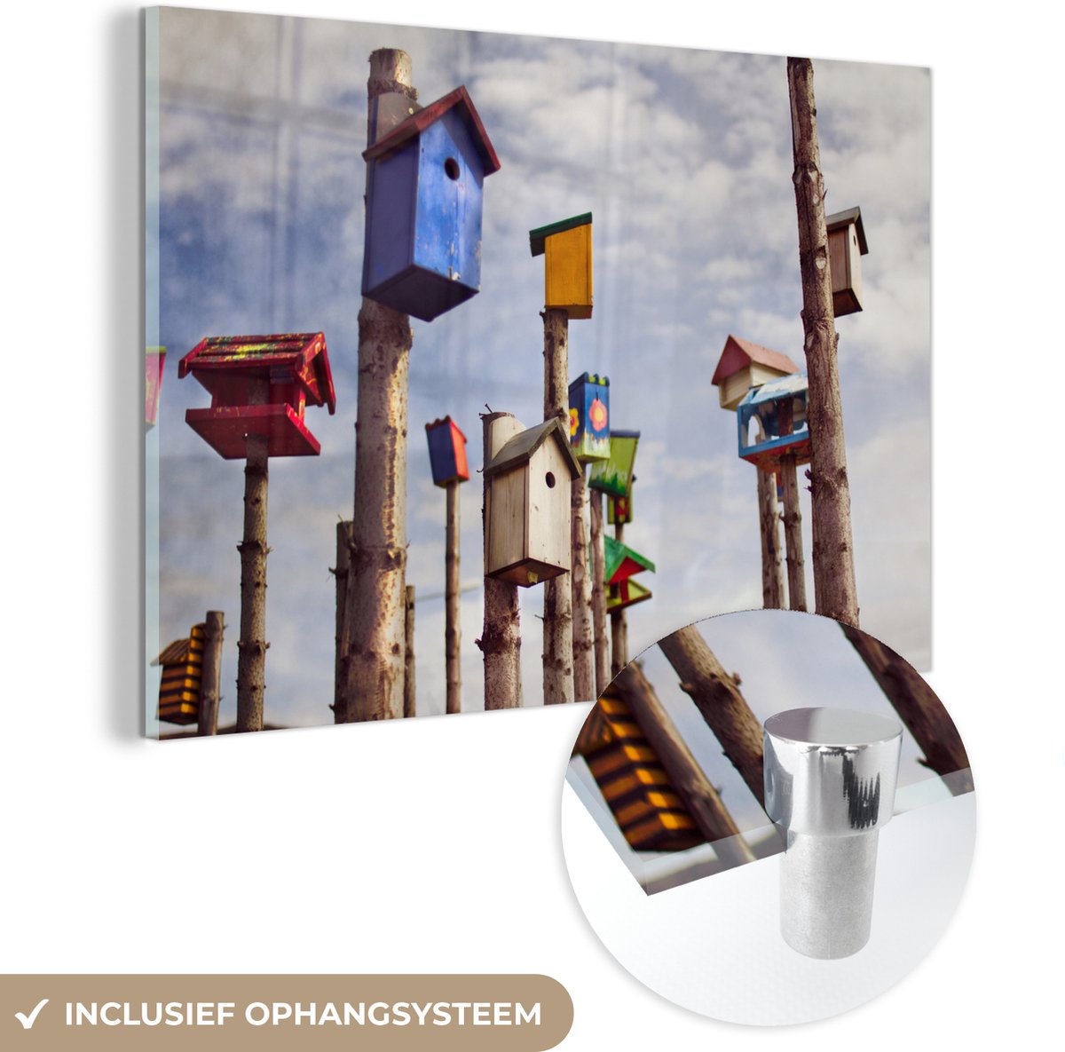 ® Glasschilderij 30x20 cm - Schilderij acrylglas - Vogelhuizen op houten palen - Foto op g