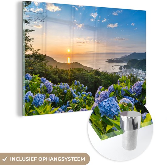 MuchoWow® Glasschilderij 60x40 cm - Schilderij acrylglas - Zonsondergang boven van hortensia bloemen - Foto op glas - Schilderijen