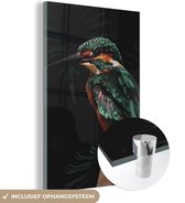 MuchoWow® Glasschilderij 80x120 cm - Schilderij acrylglas - IJsvogel - Tak - Kleurrijk - Foto op glas - Schilderijen