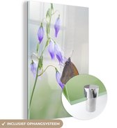 MuchoWow® Glasschilderij 60x90 cm - Schilderij acrylglas - Zandoogje vlinder neergestreken op bloemen - Foto op glas - Schilderijen