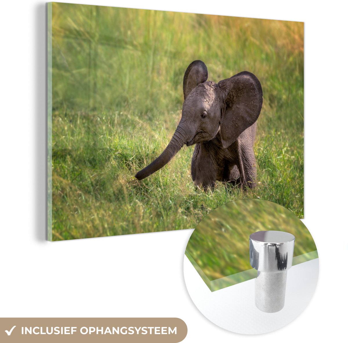 ® Glasschilderij 180x120 cm - Schilderij acrylglas - Baby olifant in het gras - Foto op glas - Muurdecoratie woonkamer - Wanddecoratie slaapkamer - Schilderijen