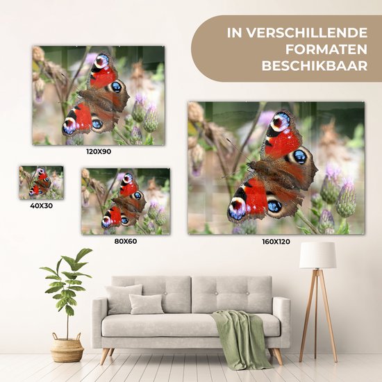 Peinture sur Verre - Papillon Paon - 120x90 cm - Peintures sur Verre Peintures - Photo sur Glas