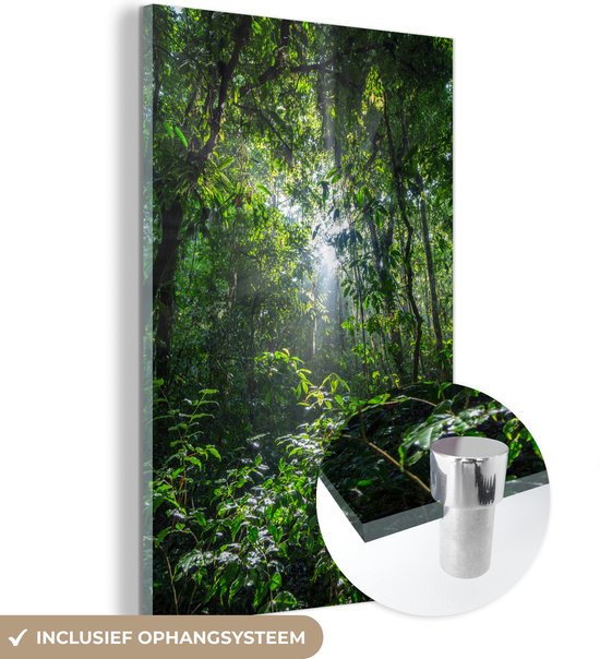 Le soleil perce les arbres de la jungle dans le parc national du Corcovado Plexiglas 20x30 cm - petit - Tirage photo sur Glas (décoration murale en plexiglas)