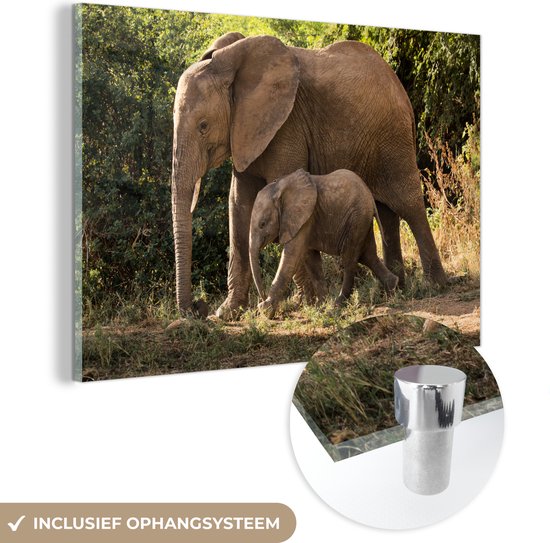 MuchoWow® Glasschilderij 150x100 cm - Schilderij acrylglas - Wandelende baby olifant met zijn moeder - Foto op glas - Schilderijen
